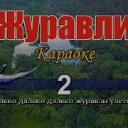 Улетают Журавли Минус