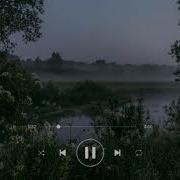 Пение Птиц Из Тик Ток