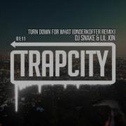 Turn Down For What Remix Mashup