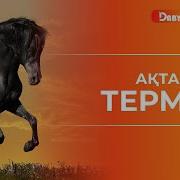 Ақтанның Термесі