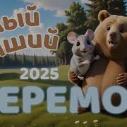 Студия Мям