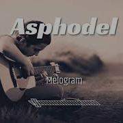 Melogram Asphodel