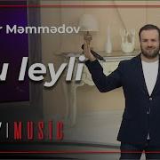 Bu Leyli