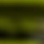 Beelinechorded Sound Effect