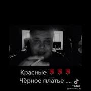 Красные Розы Чёрное Платье