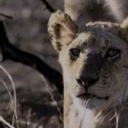 Atb Future Memories Hd