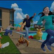 Тимоха 5 Остров