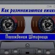 Похождения Штирлица Или Как Размножаются Ежики