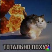 Тотально Похуй
