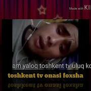 Ам Ялоки