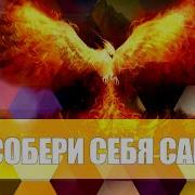 Собери Себя Сам