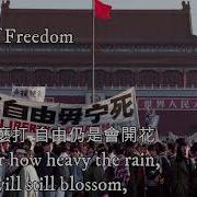 自由花国语