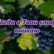 Ты Для Меня Лоза Святая