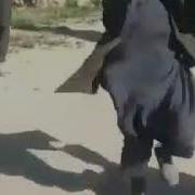 Гулчини Афгони