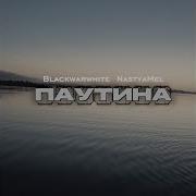 Паутина Blackwarwhite Nastyamel