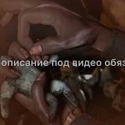 Рукъя Для Развязывания Узлов