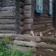 Гусь Зовет Аню