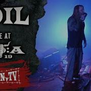 Soil Unreal Live