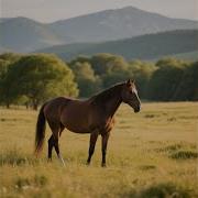 Deepynn Habit Of You