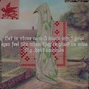 Hayden Everett Killer Whale